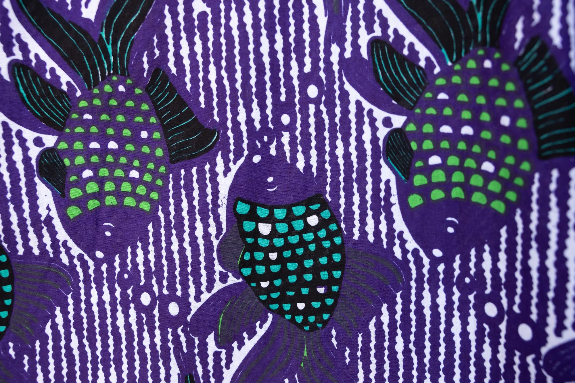 Fantail - Image 4